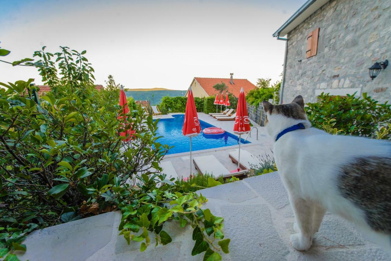 Mediteraneo Villa Kaluderovici Exterior foto